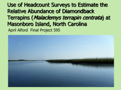Use of Headcount Surveys to Determine