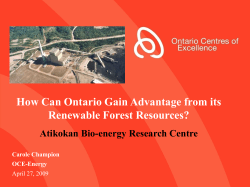 How Can Ontario Gain Advantage from its Renewable Forest