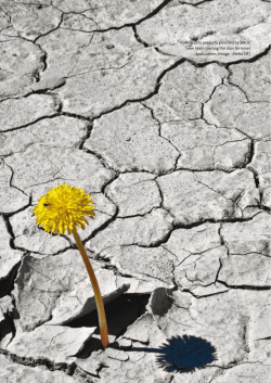 earth observation - ESA Earth Online