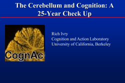 THE MANY MANIFESTATIONS OF A CEREBELLAR TIMING SYSTEM