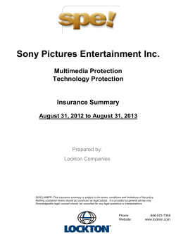 Sony Pictures Entertainment Inc. Insurance Summary