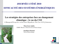 The Porter Hypothesis - I-t&eacute;s&eacute;