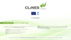 intermediate joint action plan