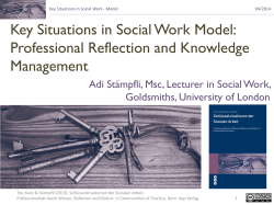 Model: Key Situation in Social Work