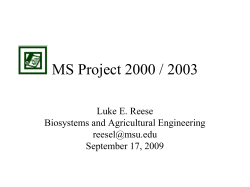 MS Project PPT