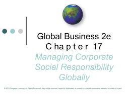 CORPORATE SOCIAL RESPONSIBILITY (CSR)