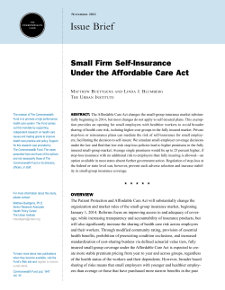 Small Firm Self-Insurance Under the Affordable Care Act