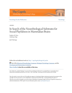 In Search of the Neurobiological Substrates for Social Playfulness in