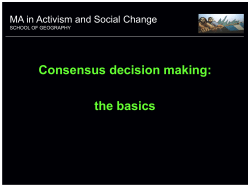 consensus_workshop - United Diversity