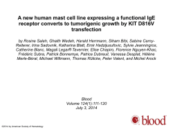 Powerpoint - Blood Journal