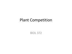 Plant Competition