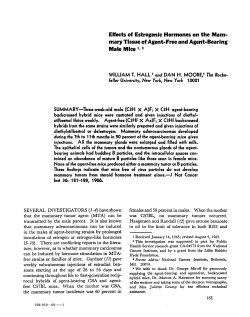 Effects of Estrogenic Hormones on the Mam