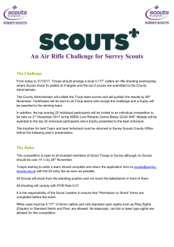 County Air Rifle Challenge 2017 The Troop below
