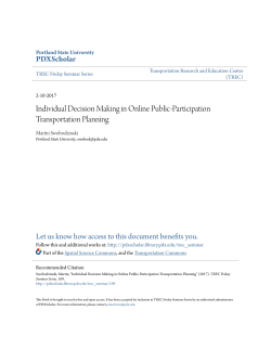 Individual Decision Making in Online Public
