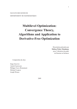 Multilevel Optimization: Convergence Theory, Algorithms and