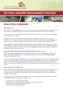natural hazards management strategy executive summary