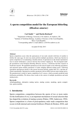 A sperm competition model for the European bitterling