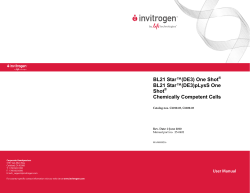 One Shot BL21 Star (DE3) and One Shot BL21 Star