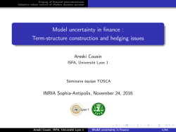 Model uncertainty in finance
