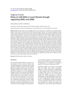 Roles of miR-200a in renal fibrosis through regulating ZEB1 and ZEB2