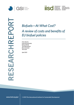 Biofuels&mdash;At What Cost? A review of costs and benefits of EU biofuel