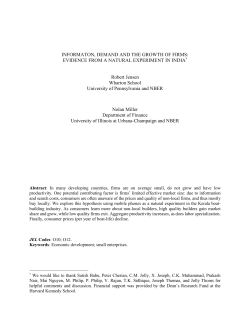 Information, Demand and the Growth of Firms: Evidence from a
