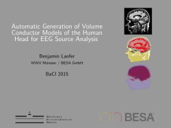 Automatic Generation of Volume Conductor Models of the