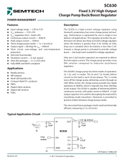 Fixed 3.3V High Output Charge Pump Buck/Boost