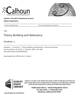 Theory Building and Relevance