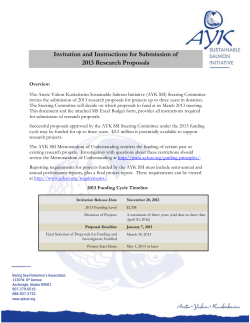 ayk ssi proposal summary 2013