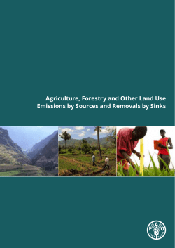 Agriculture, forestry and other land use emissions by sources and