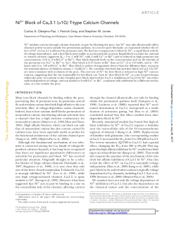 Ni 2+ Block of Ca V3.1 ( &alpha; 1G) T