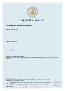 On Strategy and Manufacturing Flexibility Nilsson