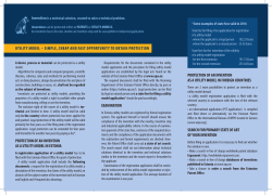 PROTECTION OF AN INVENTION AS A UTILITY MODEL IN