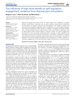 The influence of high-level beliefs on self-regulatory