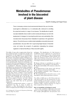 Metabolites of Pseudomonas involved in the biocontrol of