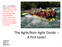 The Agile vs Non agile divide - Rose