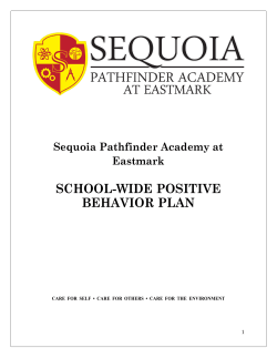 School-Wide Positive Behavior Plan
