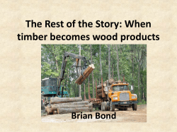 The Rest of the Story: When timber becomes wood products