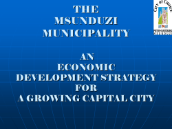 the msunduzi municipality : an economic development strategy for a