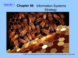 IS/IT management strategy