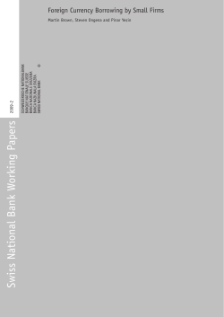 Foreign Currency Borrowing by Small Firms