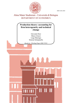 Production theory: accounting for firm heterogeneity and