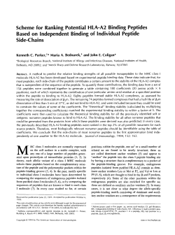 Scheme for Ranking Potential HLA-A2 Binding Peptides Based on