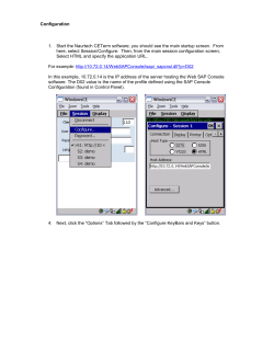 Naurtech remapping Function keys for Web SAP