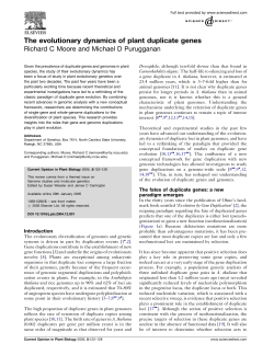The evolutionary dynamics of plant duplicate genes