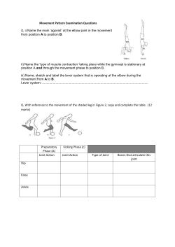 Movement Pattern exam questions