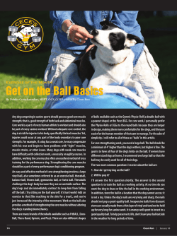 Get on the Ball Basics
