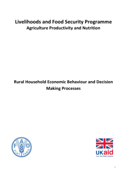 Livelihoods and Food Security Programme