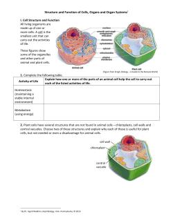 Cell Structure and Function